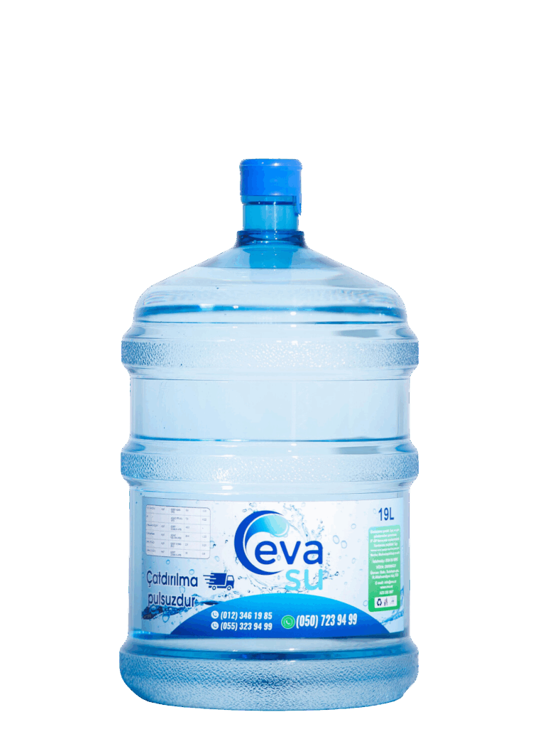 19l Eva Su